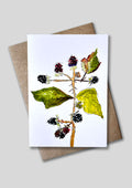 Brambles card